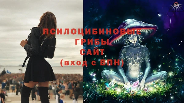 PSILOCYBIN Алексеевка